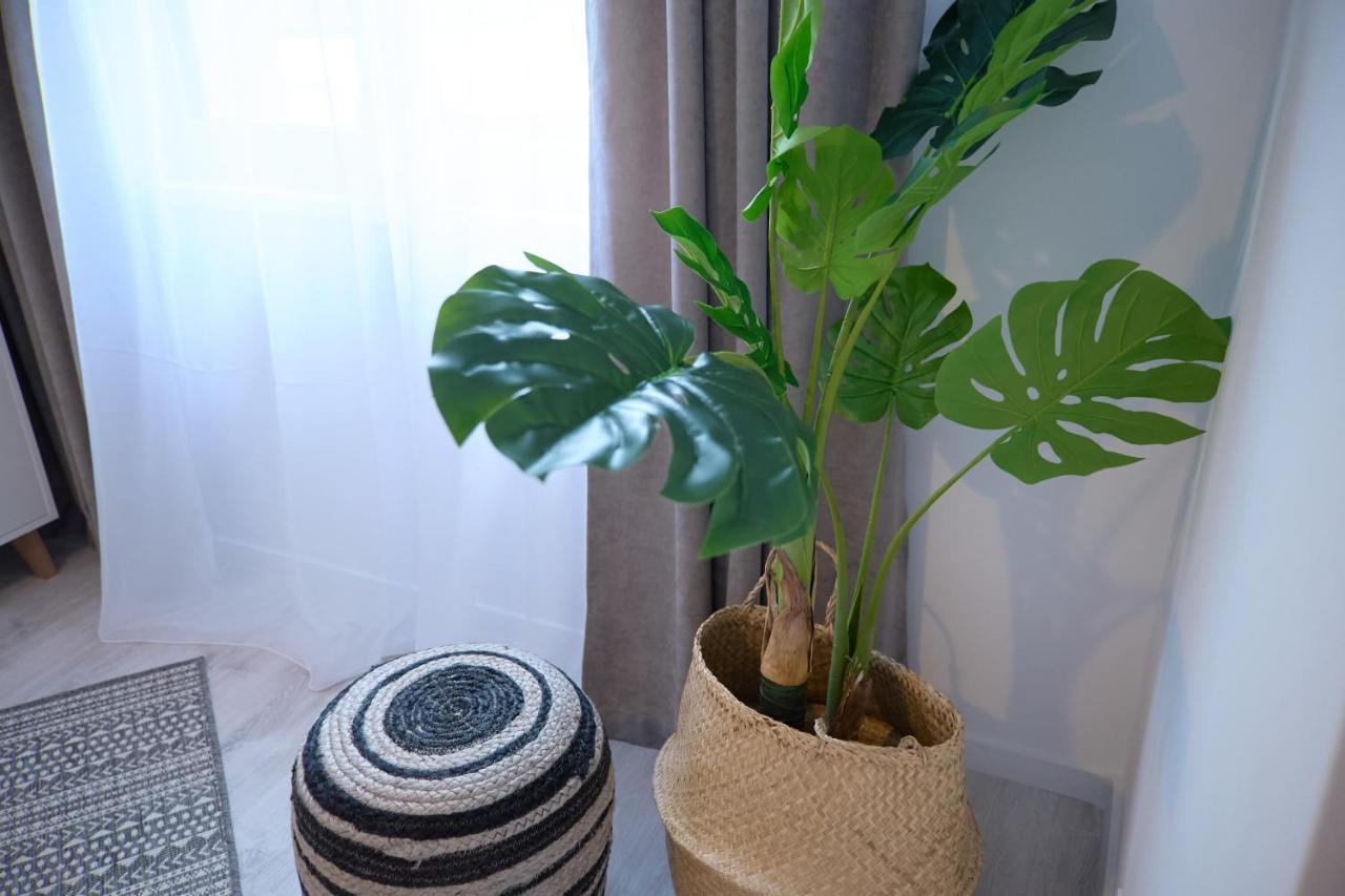 City Center Accomodation - 101 Resita Ngoại thất bức ảnh